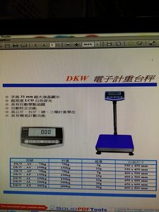 DKW系列電子計重台秤